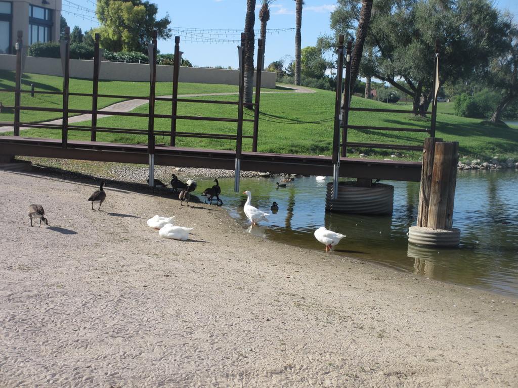 סקוטסדייל Mccormick Ranch Golf Villa מראה חיצוני תמונה
